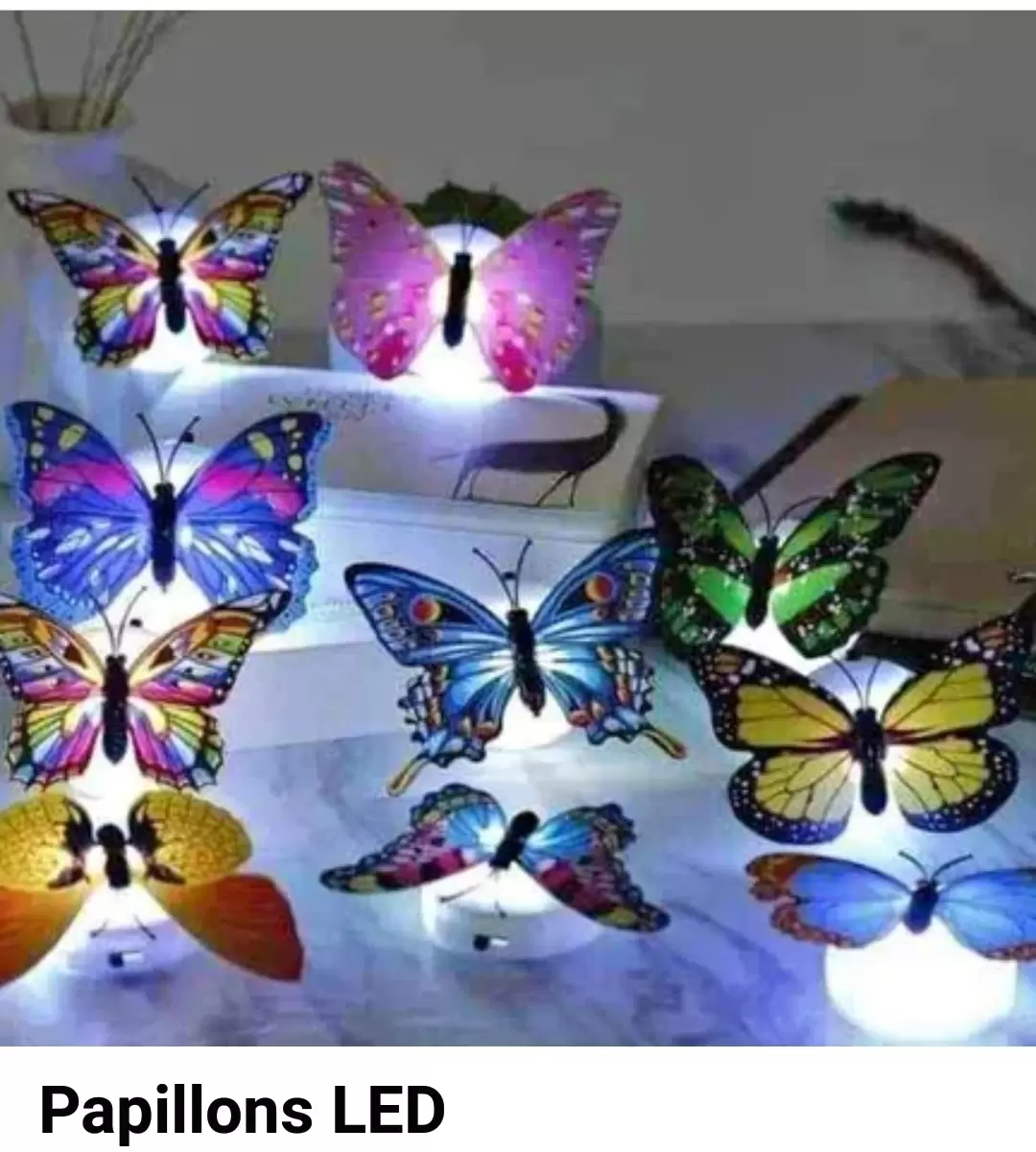 Papillon LED