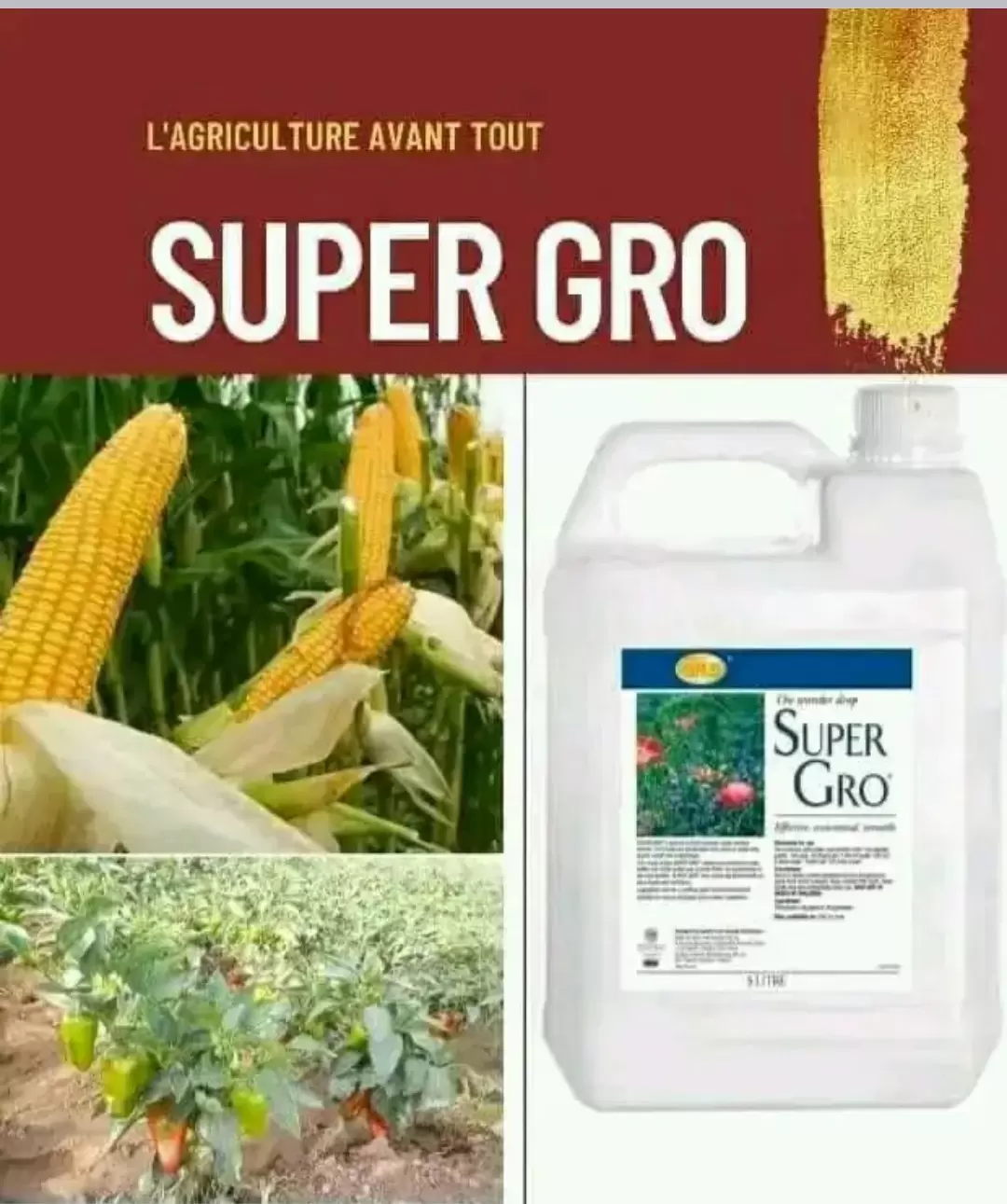 Super Gro un engrais bio et naturel 