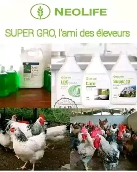 fertilisants biologique agricole super gros 