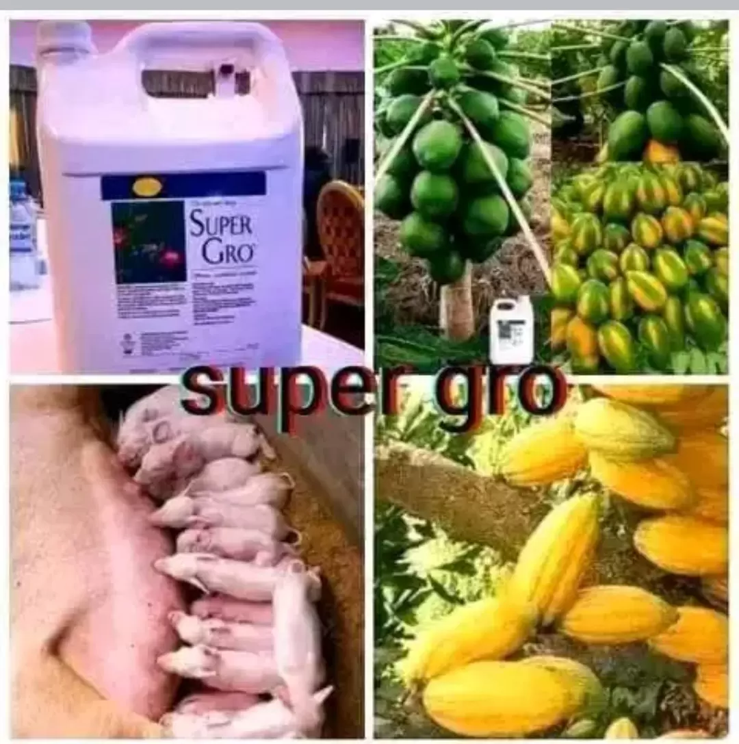 Super Gro un engrais bio et naturel 